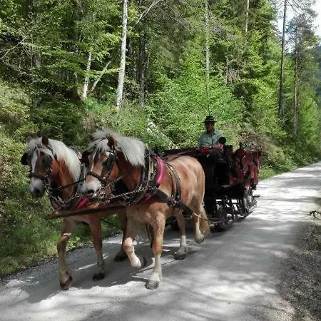 公寓 艾林格豪斯公寓酒店 茵特斯托德