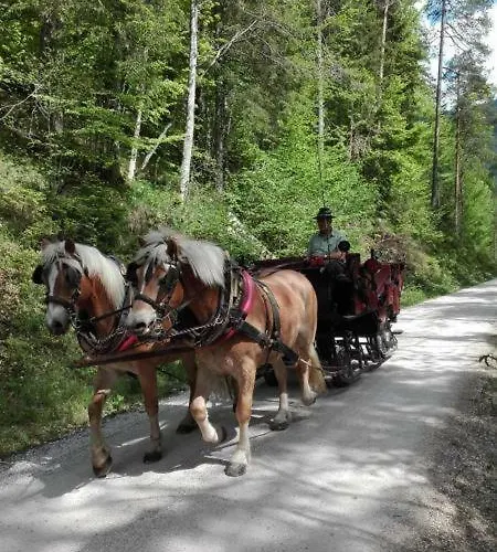 Daire Haus Edlinger Hinterstoder